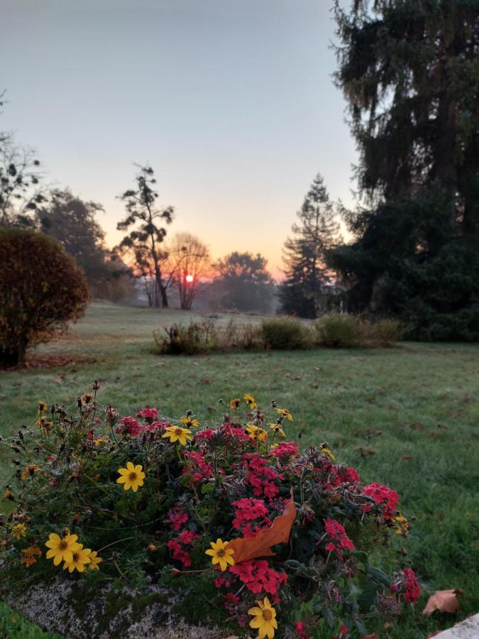 Bed and Breakfast Domaine De Rateau Bayas Экстерьер фото